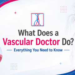 What Does a Vascular Doctor Do? Everything You Need to Know | Complete Guide